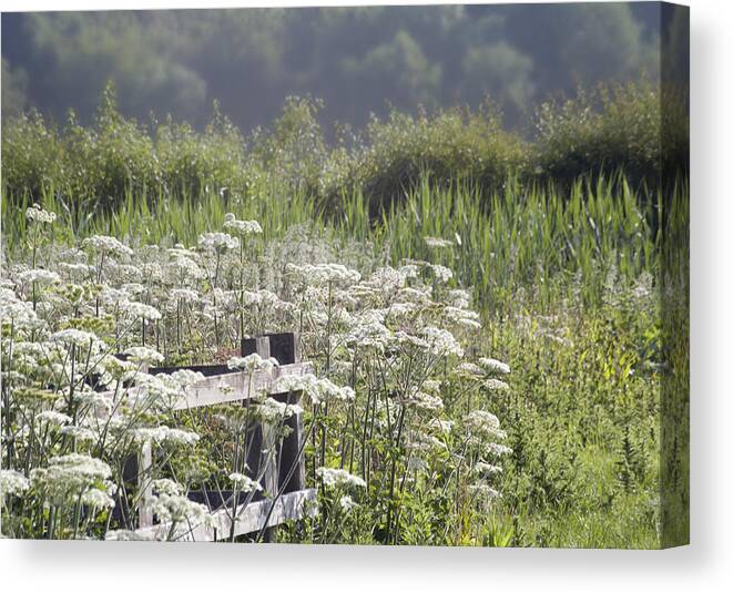 Rural Canvas Print featuring the photograph Appleford walk by Jerry Daniel