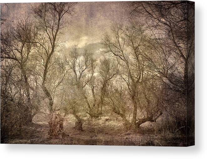 Landscapes Canvas Print featuring the photograph Arms ghost forest by Guido Montanes Castillo