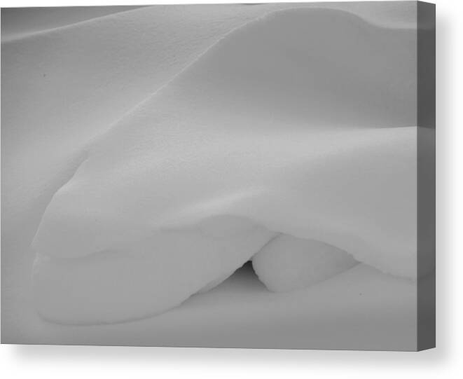 Sculpture Canvas Print featuring the photograph At Arms Length.. by Al Swasey