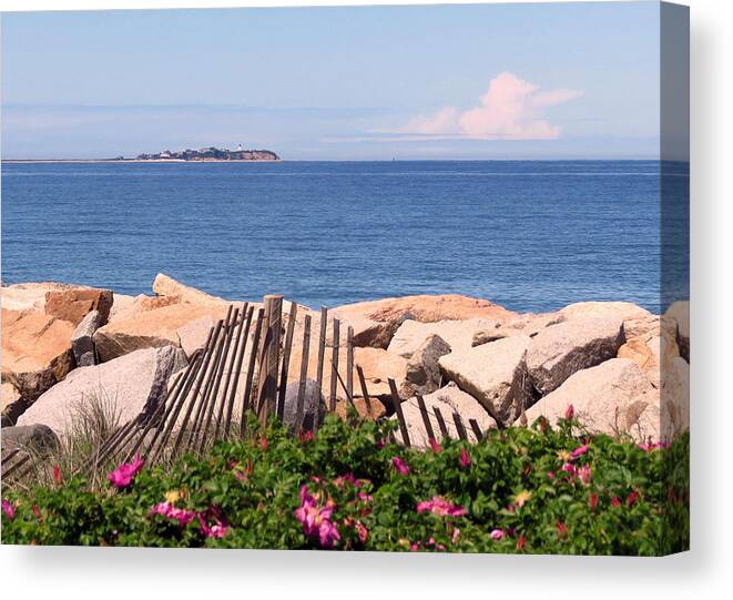 Beach Canvas Print featuring the photograph At the Beach by Janice Drew