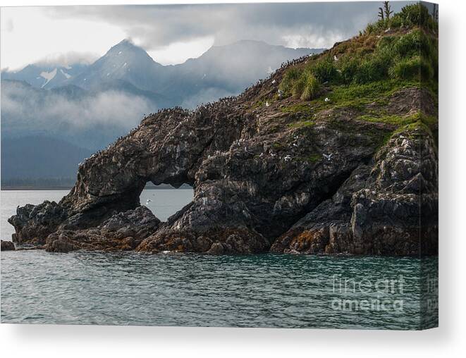 In Focus Canvas Print featuring the photograph At The Heart Of It by Jim Cook