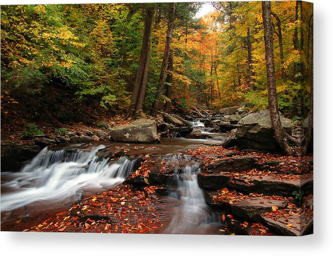 Ricketts Glen Canvas Print featuring the photograph Autumn At Ricketts Glen by Dan Myers