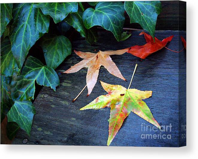 Autumn Canvas Print featuring the photograph Autumn Garden 1 by Ellen Cotton