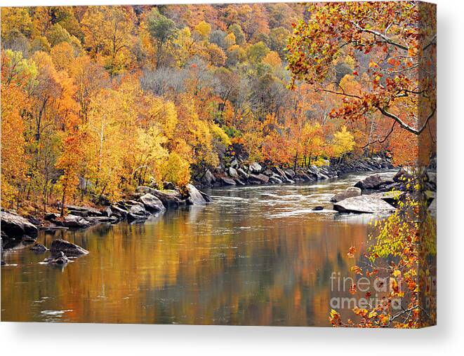 Photography Canvas Print featuring the photograph Autumn in the Gorge by Larry Ricker