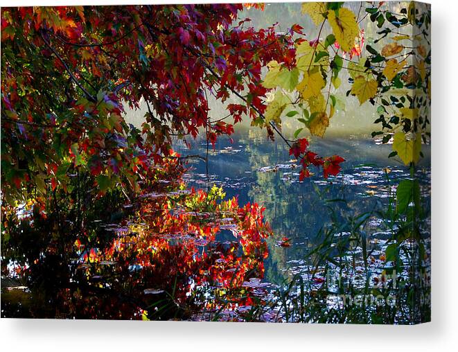 Leaves Canvas Print featuring the photograph Autumn Trees and Reflections by Nancy Mueller