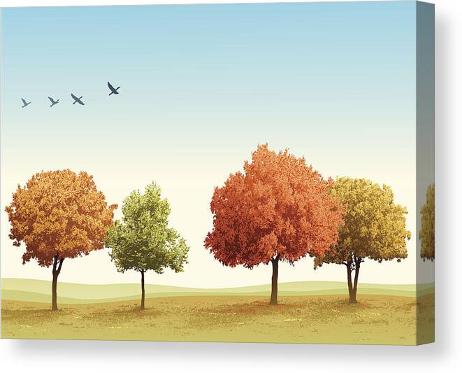 Scenics Canvas Print featuring the drawing Autumn Trees by Edge69