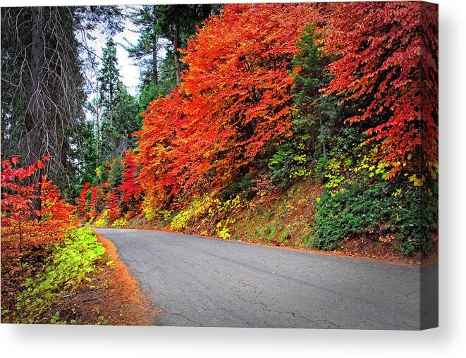 Fall Canvas Print featuring the photograph Autumn's Glory by Lynn Bauer