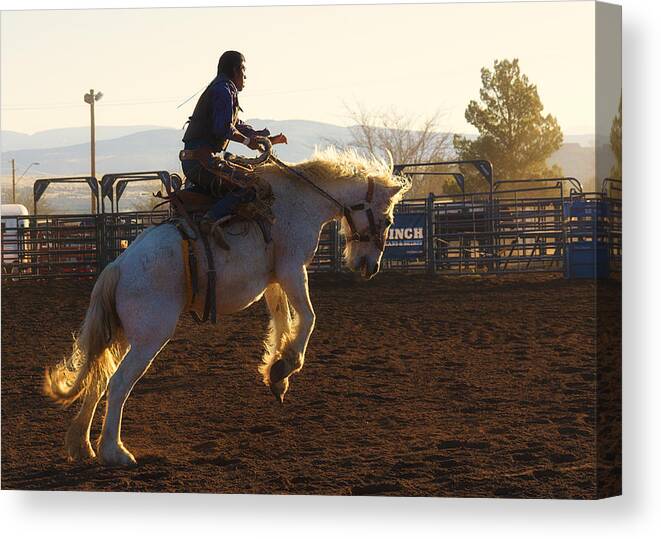 Rodeo Canvas Print featuring the photograph Backlit Bucking Bronco by Priscilla Burgers