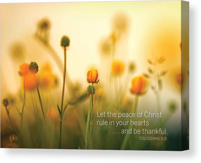 Flower Canvas Print featuring the digital art Be Thankful by Kathryn McBride