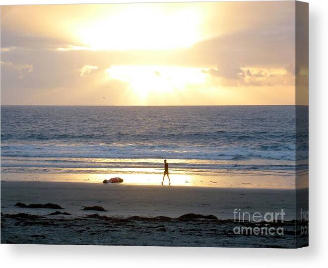 Sunset Canvas Print featuring the photograph Beachcomber Encounter by Barbie Corbett-Newmin