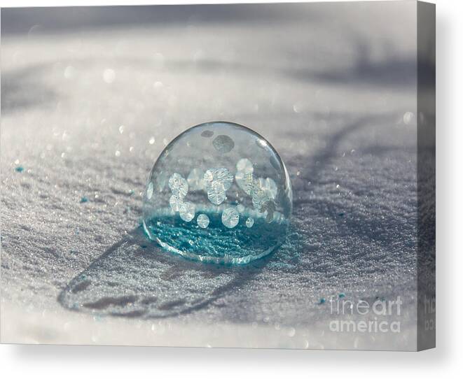 Frozen Bubbles Canvas Print featuring the photograph Beautiful Blue Bubble by Cheryl Baxter