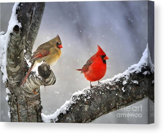 Nature Canvas Print featuring the photograph Beautiful Together by Nava Thompson