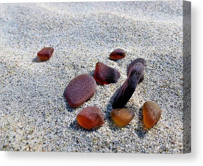 Sea Glass Canvas Print featuring the photograph Beer Bottle Sea Glass by Janice Drew