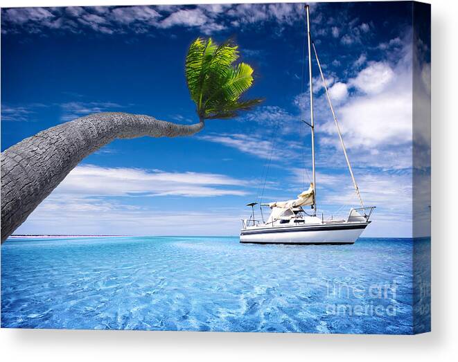 Bending Canvas Print featuring the photograph Bending Palm Tree by Boon Mee