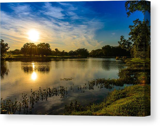 Pond Canvas Print featuring the photograph Berry Creek pond by John Johnson