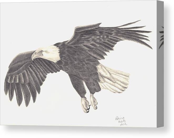 Eagle Canvas Print featuring the drawing Bird of Prey by Patricia Hiltz