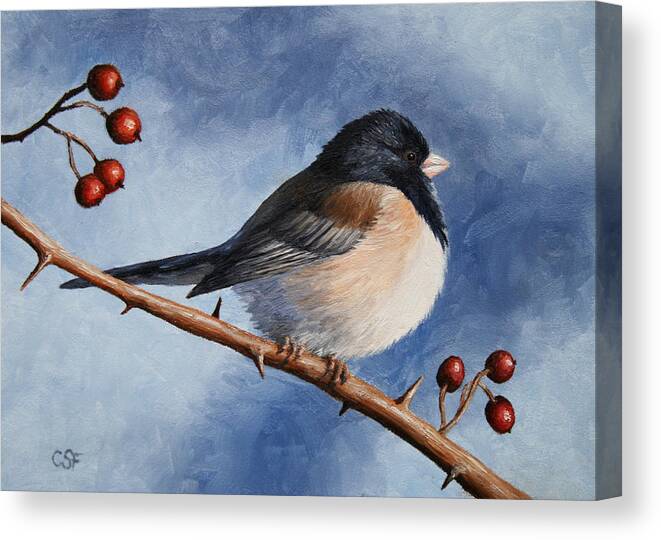 Bird Canvas Print featuring the painting Bird Painting - Dark-eyed Junco by Crista Forest