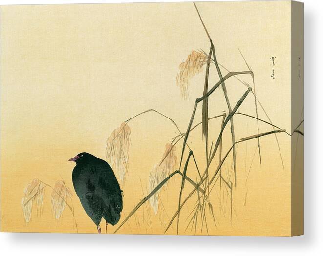 Japanese Canvas Print featuring the painting Blackbird by Japanese School