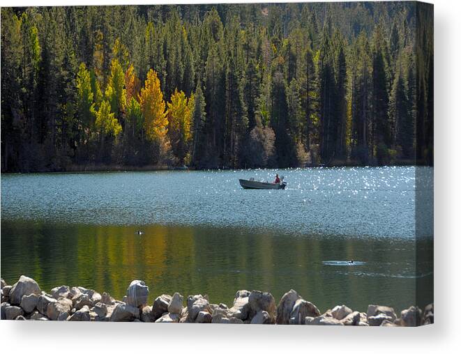 Fall Canvas Print featuring the photograph Boating on Gull Lake by Lynn Bauer
