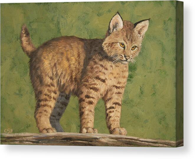 Cat Canvas Print featuring the painting Bobcat Kitten by Crista Forest