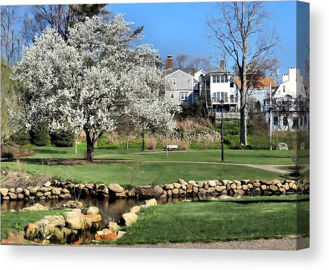 Brewster Gardens Canvas Print featuring the photograph Brewster Gardens by Janice Drew