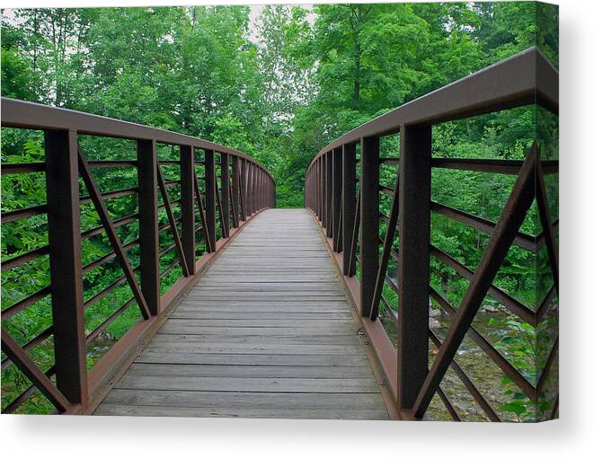 Landscape Canvas Print featuring the photograph Bridging the Gap by Lisa Phillips