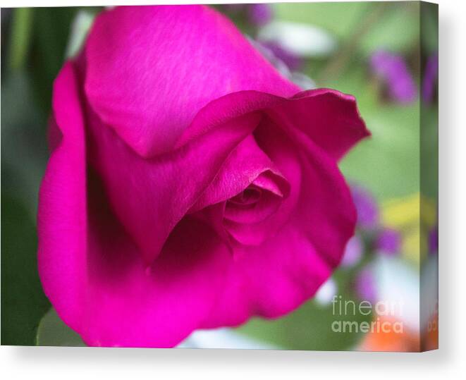 Rose Canvas Print featuring the photograph Bright Pink Rose by Arlene Carmel