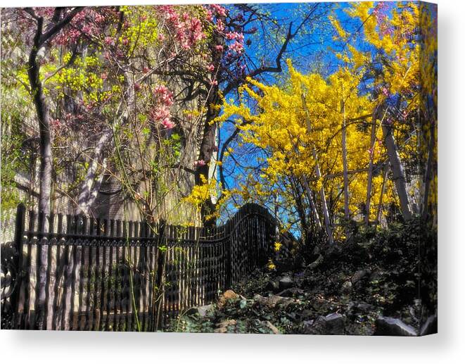 Brilliant Canvas Print featuring the photograph Brilliant Day by Carol Whaley Addassi