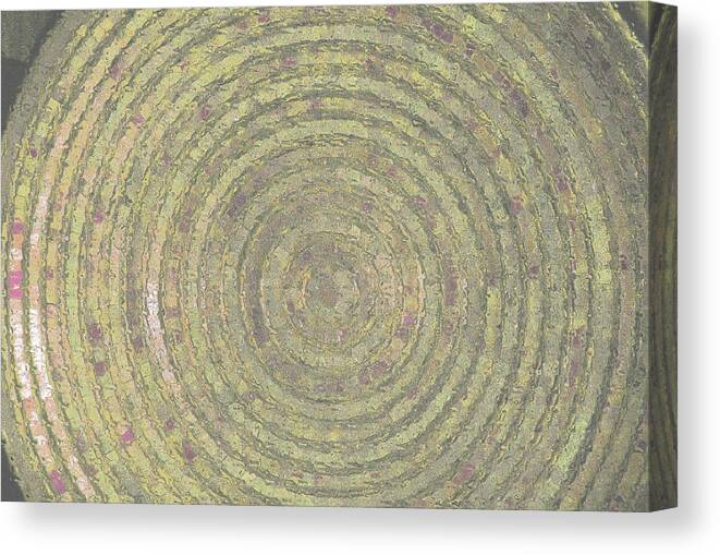 Bronze Metallic Abstract Canvas Print featuring the digital art Bronze Gold Ripples by Pamela Smale Williams