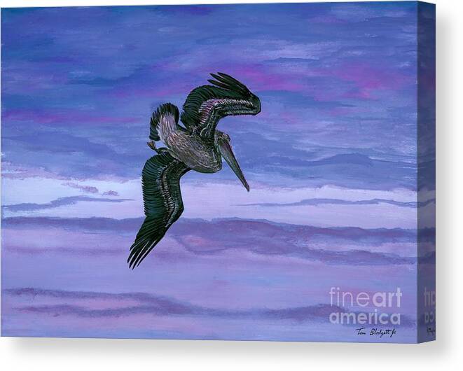 Brown Pelican Canvas Print featuring the painting Brown Pelican by Tom Blodgett Jr