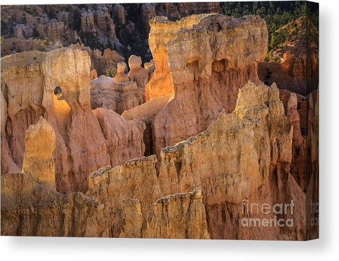 Bryce Canyon Detail Canvas Print featuring the photograph Bryce Canyon 1 by David Waldrop