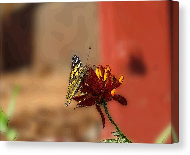 Butterfly Canvas Print featuring the digital art Butterfly On Flower by Kathleen Illes