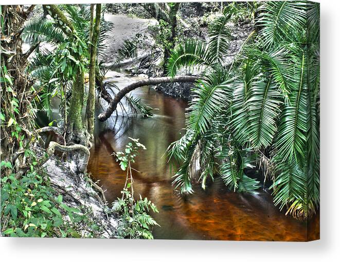 Stream Canvas Print featuring the photograph Calm Water by Chauncy Holmes