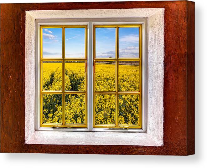 Architecture Canvas Print featuring the photograph Canola Canola by Semmick Photo