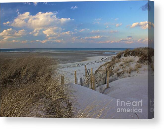 Cape Cod Canvas Print featuring the photograph Cape Cod by Amazing Jules