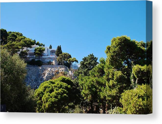 Capri Canvas Print featuring the photograph Capri's gardens by Dany Lison