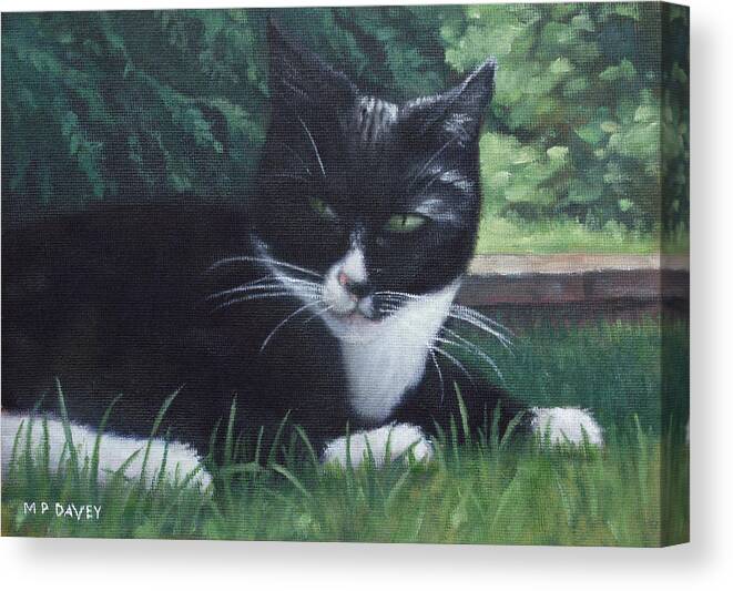 Cat Canvas Print featuring the painting cat by Martin Davey