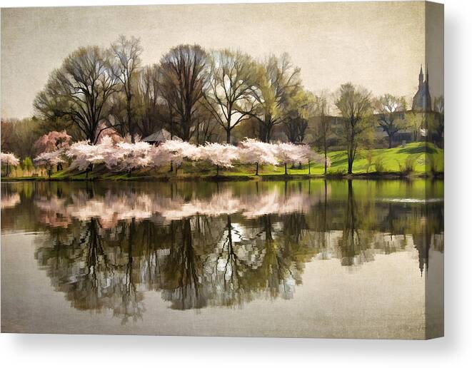 Landscape Canvas Print featuring the photograph Cherry Blossom by Barbara Budzinski