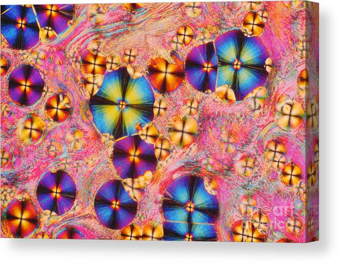 Polarized Light Micrograph Canvas Print featuring the photograph Cholesteryl Propionate by James M. Bell