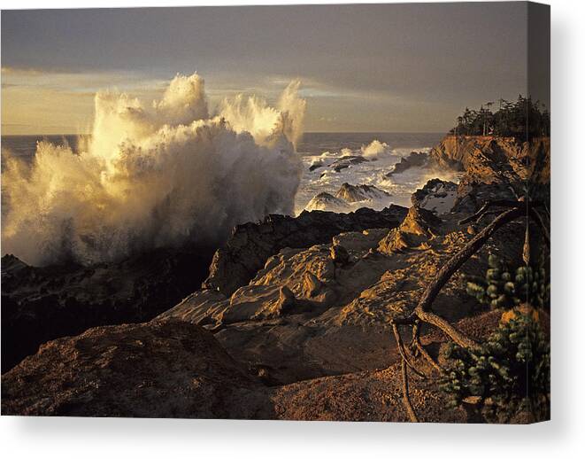 Oregon Canvas Print featuring the photograph Coastal Storm Wave by Doug Davidson