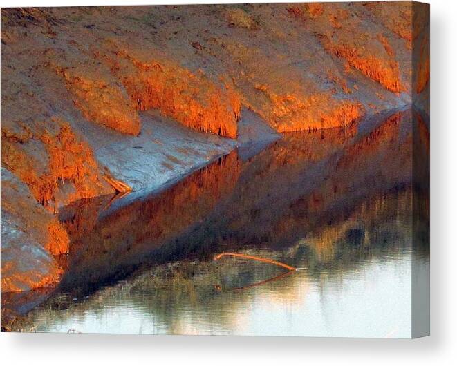 Nature Canvas Print featuring the photograph Color play by I'ina Van Lawick