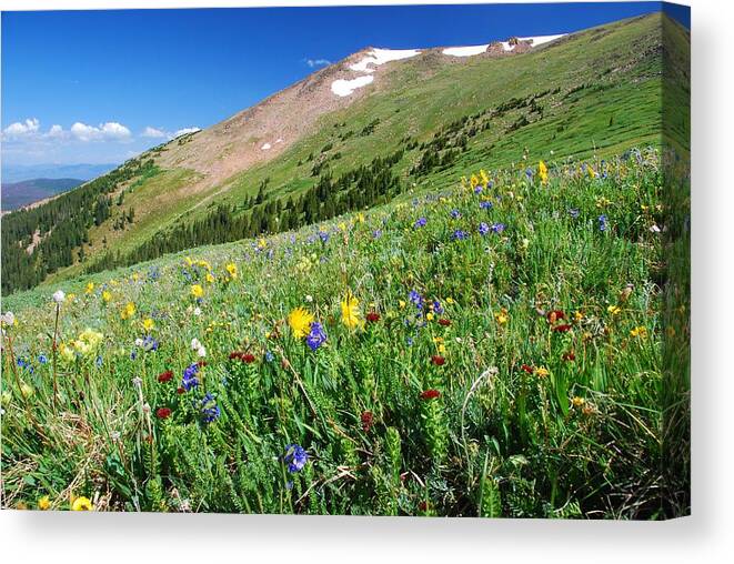 Front Range Canvas Print featuring the photograph Colorado Summer in the Front Range by Cascade Colors