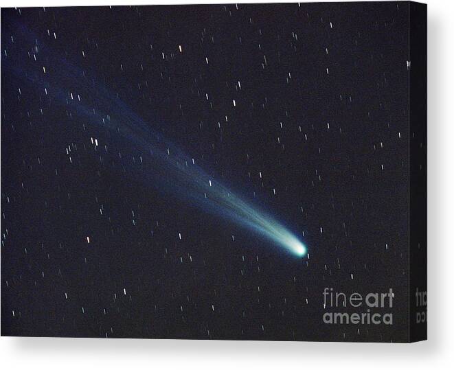 Comet Canvas Print featuring the photograph Comet Ikeya-zhang by Chris Cook