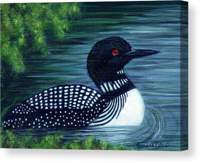 Loon Canvas Print featuring the painting Common Loon by Sandra Estes