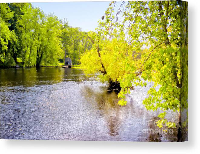 Concord Canvas Print featuring the photograph Concord by Nigel Fletcher-Jones