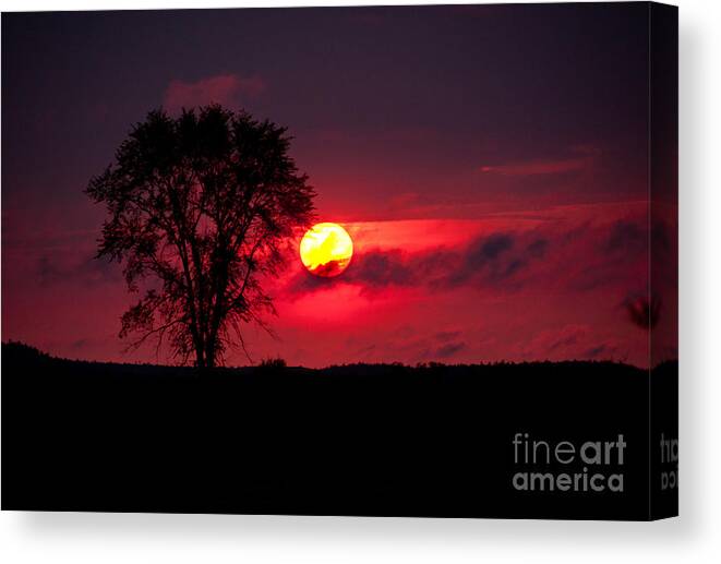 Sunsets Canvas Print featuring the photograph Could be in Africa by Cheryl Baxter