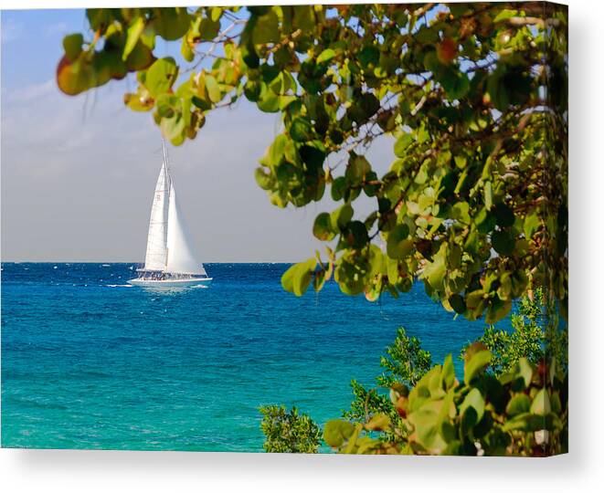 Cozumel Canvas Print featuring the photograph Cozumel Sailboat by Mitchell R Grosky