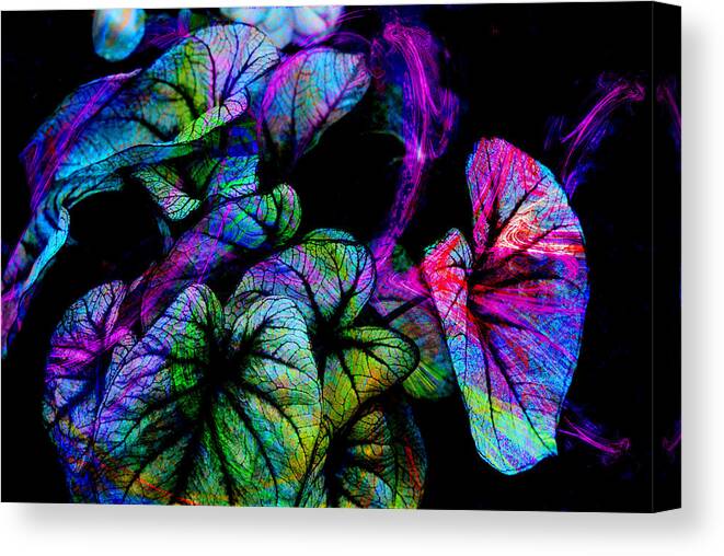 Leaves Canvas Print featuring the digital art Crazy Elephant Ears by Lisa Yount