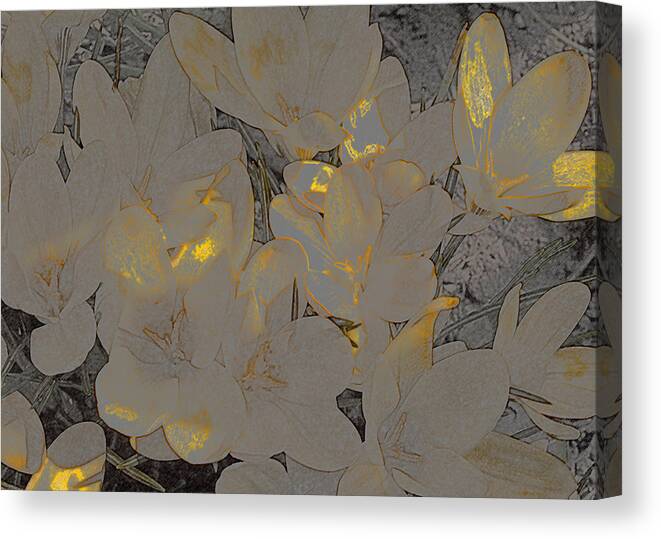 Crocus Canvas Print featuring the photograph Crocuses by ShaddowCat Arts - Sherry