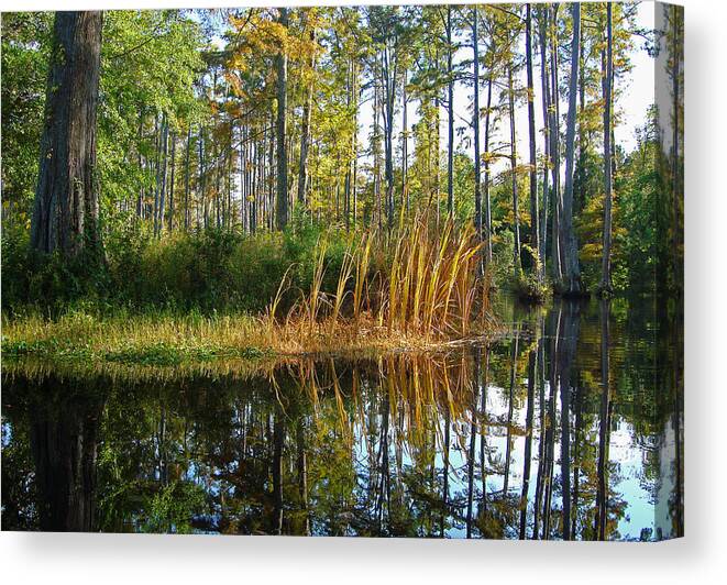 Cypress Canvas Print featuring the photograph Cypress Gardens 4 by Ellen Tully